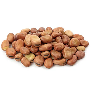 فول تدميس الخطيب 500 جم